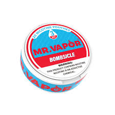 MR VAPOR NICOTINE POUCHES 20CT/5PK MIX