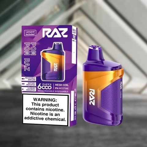 RAZ 6000 PUFF RECHARGEABLE DISPOSABLE (10pcs)