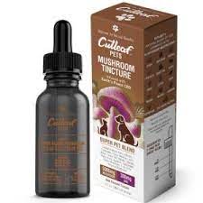 CUTLEAF PETS MUSHROOM TINCTURE 1oz (1pc)