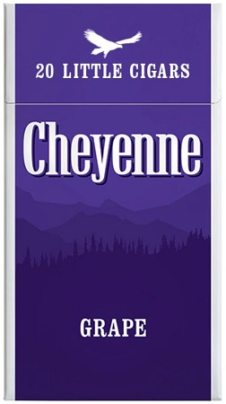 CHEYENNE 100s 20ct (10pcs)