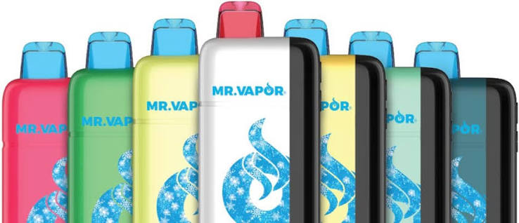 MR VAPOR ARCTIC 30K PUFFS DISPOSABLE (5pcs)